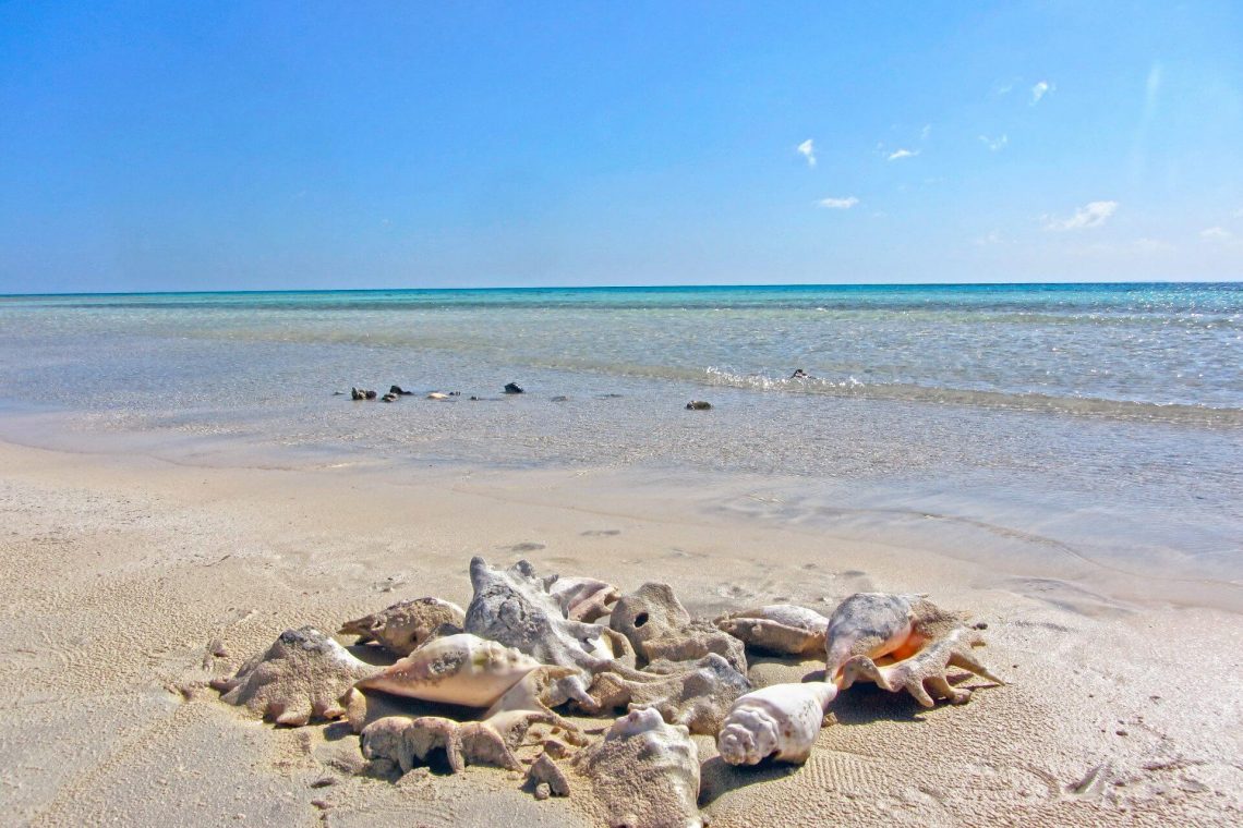 Sharm-el-Luli-Strand_Aegypten