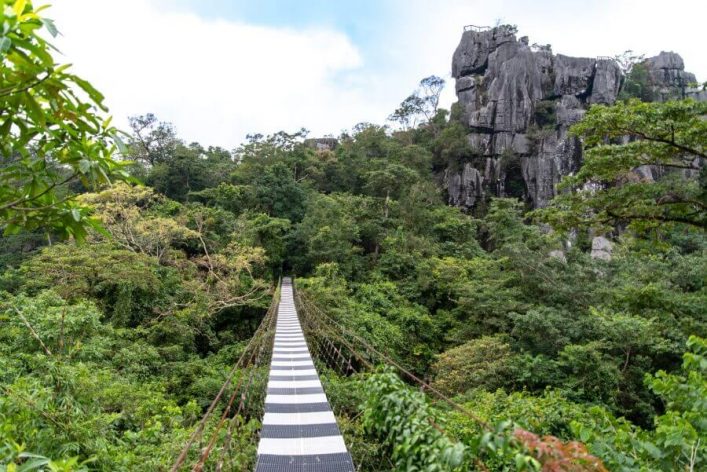 Eine Hängebrücke führt durch einen dichten, grünen Dschungel zu beeindruckenden Felsformationen im Hintergrund. Links und rechts ragen Bäume empor. Der Himmel ist wolkig.
