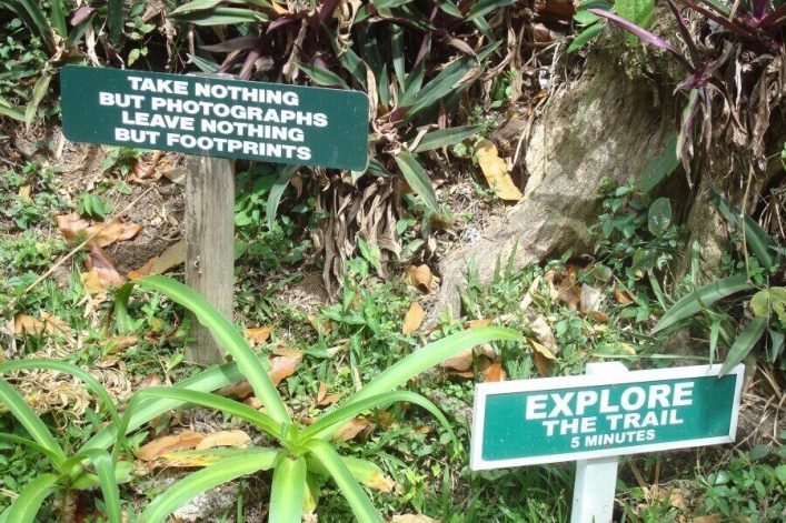 Grenada Sehenswürdigkeiten: Nationalpark auf Grenada