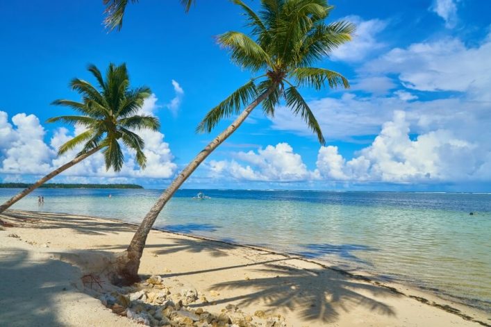 Zwei gebogene Palmen stehen am sandigen Strand von Siargao, die sich über das klare, türkisfarbene Wasser neigen. Im Hintergrund erstreckt sich das Meer bis zum Horizont unter einem blauen Himmel mit weißen Wolken.