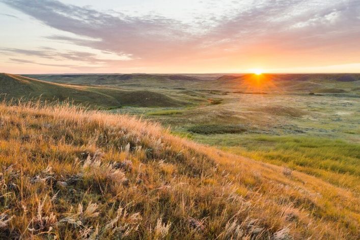 Grasslands Nationalpark in Saskatchewan
