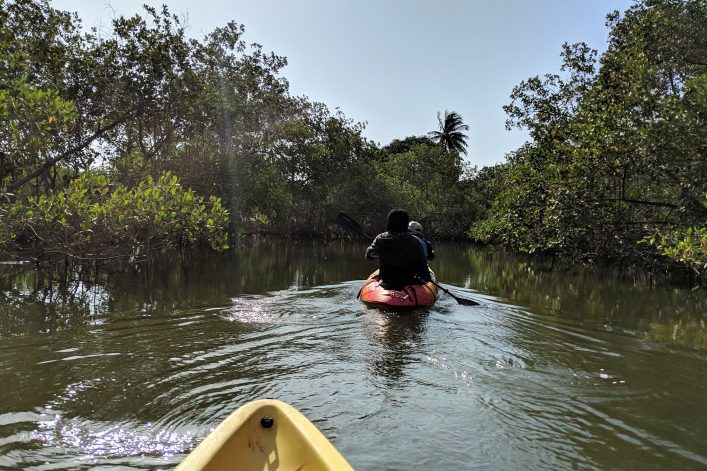 Kayaking auf dem Gambia River