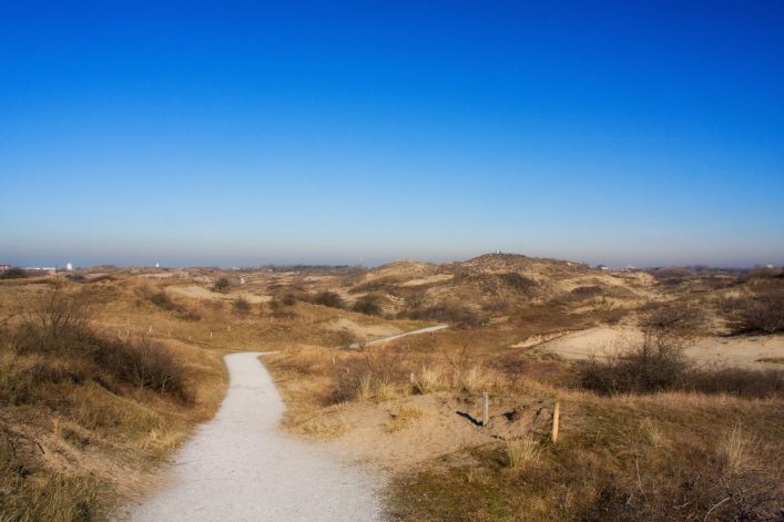 Dünen zwischen Katwijk und Wassenaar