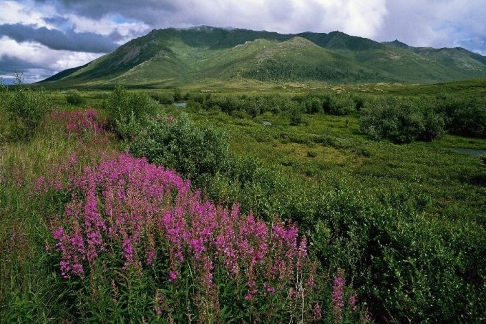 Berge in den Northwest Territories