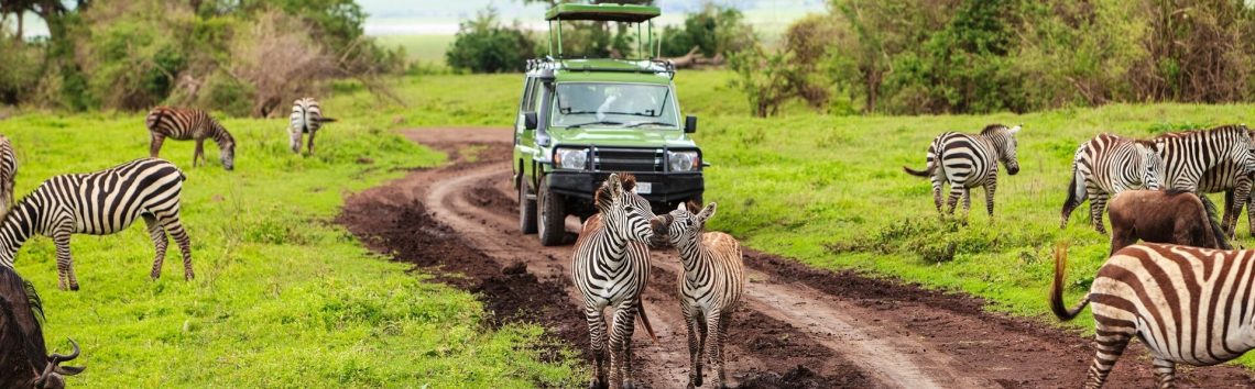 Zebras und ein Geländewagen in Namibia