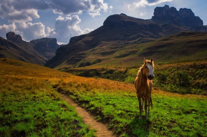 Drakensberg Grand Traverse, Südafrika