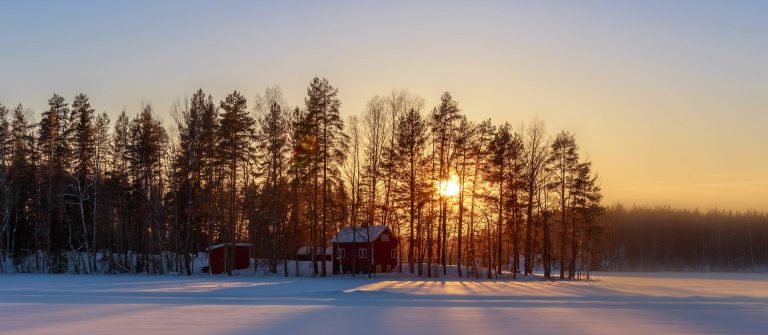 Schnee Waldlandschaft Finnland