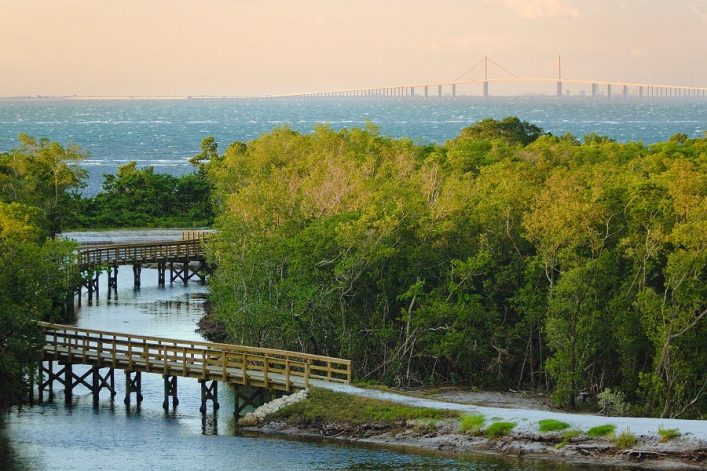 Robinson Preserve_Path