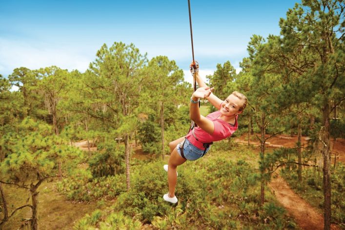 TreeUmph! in Bradenton