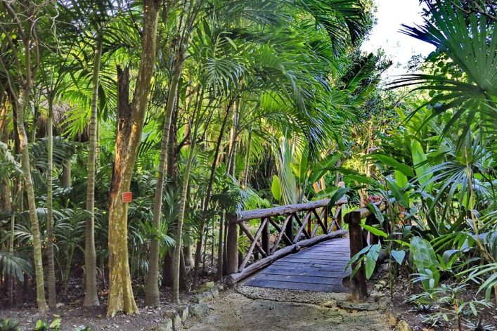 Adventure Park in Chankanaab Park Cozumel Mexico