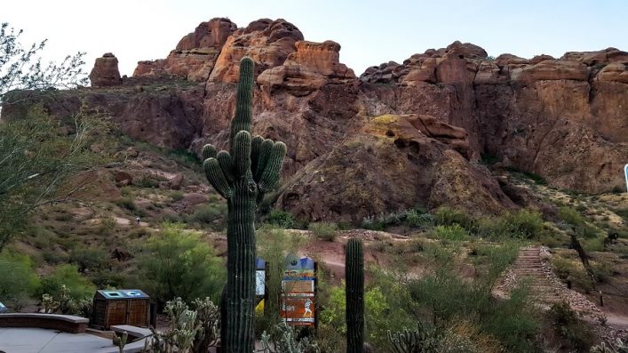 Wüste in Scottsdale Arizona