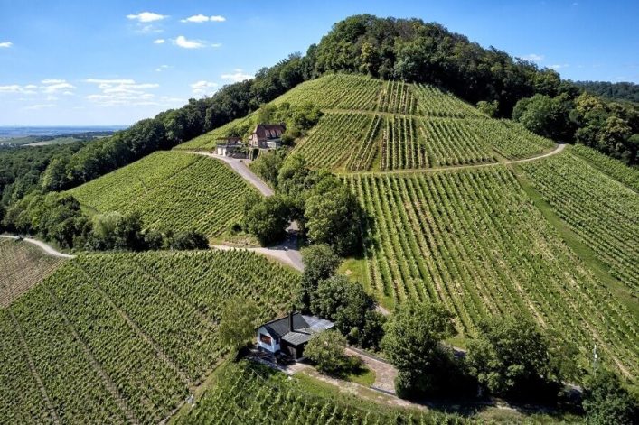 Handthal_Stollburg_Wein_SW360_F.Trykowski-Large