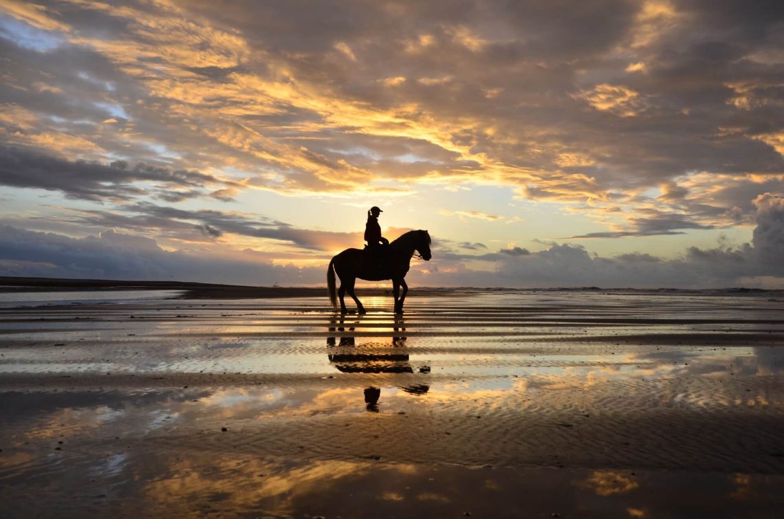 Reiterin am Strand von Norderney