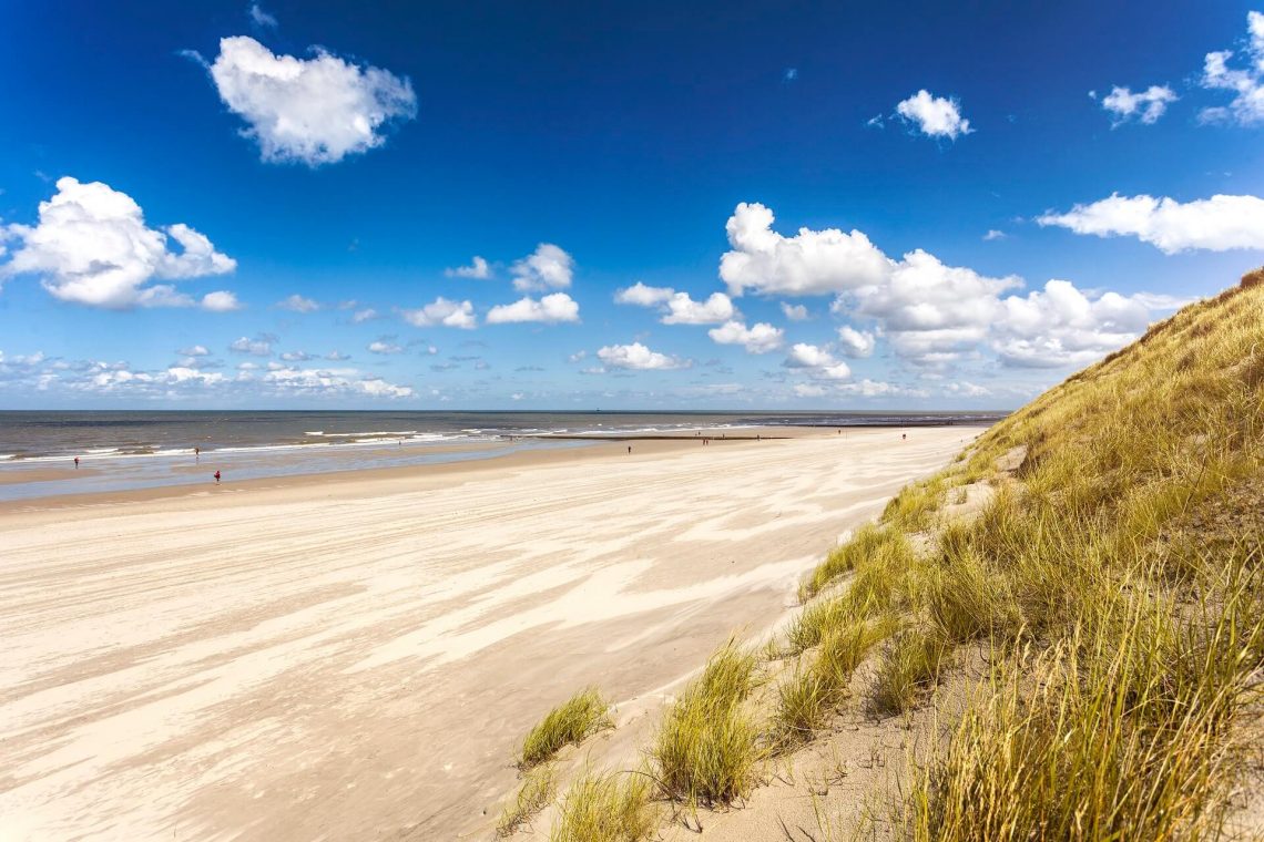 Dünenlandschaft am Strand von Norderney