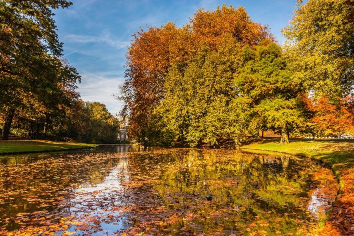 Herbstliche Bäume in leuchtenden Gelb- und Orangetönen spiegeln sich in einem ruhigen Fluss. Der Himmel ist blau, und das Ufer ist mit buntem Laub bedeckt. Links ist eine weitläufige Grünfläche.