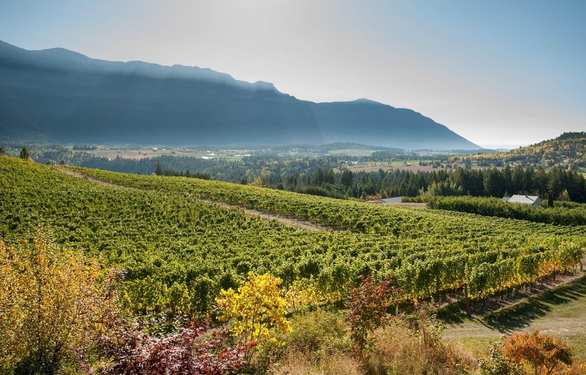 Okanagan Valley in British Columbia