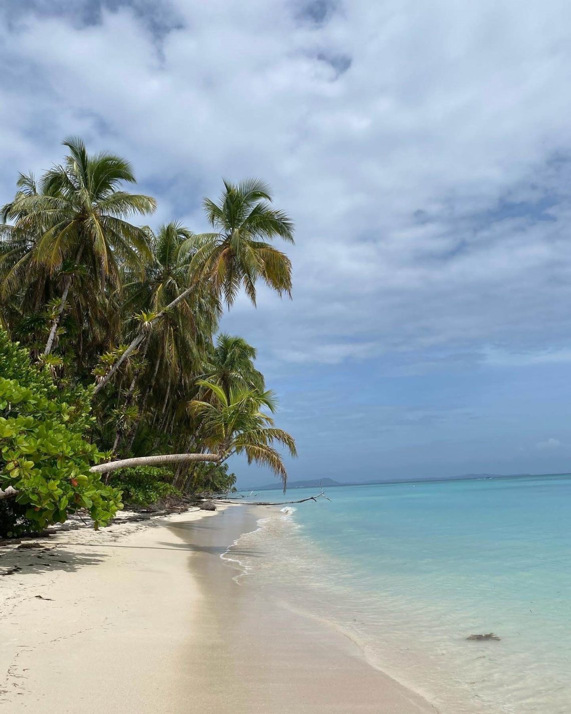 Malerischer Palmenstrand an der Karibikküste Panamas