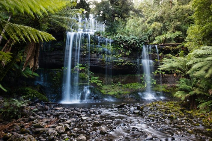 Cascades,Of,Russell,Falls,,Tasmania,,Australia.,Beautiful,,Pristine,Waterfall,In