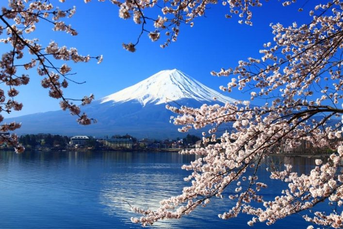 Auch am Mount Fuji Vulkan blüht die Kirschblüte in Japan besonders schön