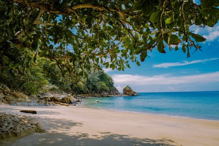 Sonniger Strand in Phuket mit goldgelbem Sand, ruhigem blauem Meer und üppigem grünen Blätterdach im Vordergrund. Steine säumen links den Strand, während der Horizont klar und wolkenfrei ist.