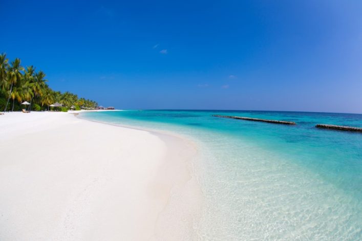 Weißer Sandstrand mit Palmen links, kristallklares türkises Wasser rechts. Perfekter Ort für Flitterwochen auf den Malediven unter strahlend blauem Himmel. Ruhe und Entspannung pur.