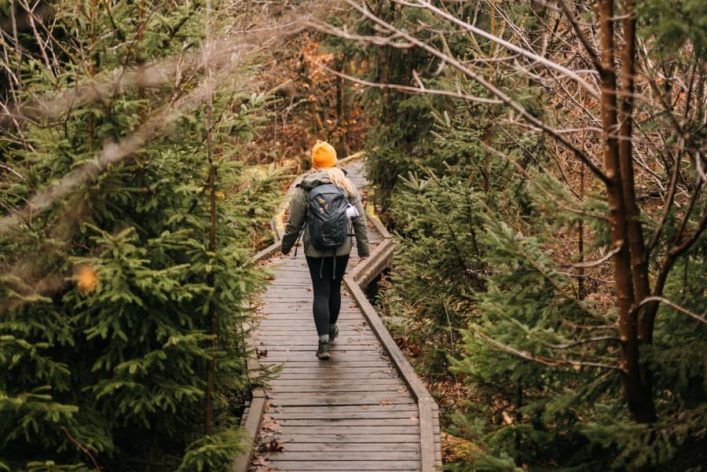 Eine Person mit gelber Mütze und Rucksack wandert auf einem hölzernen Pfad durch einen dichten, herbstlichen Wald. Links und rechts säumen Tannenbäume den Weg.