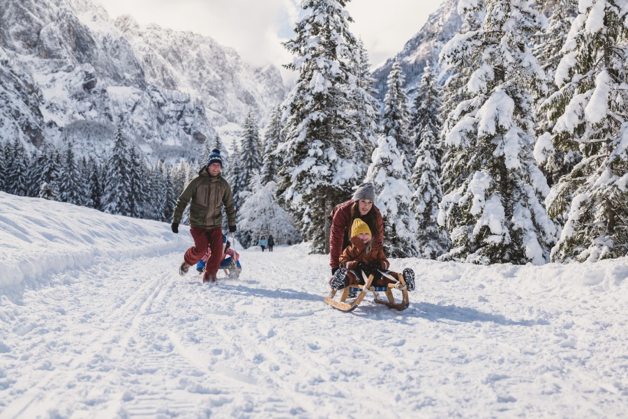 Mehrere Personen rodeln und laufen auf einem verschneiten Weg zwischen schneebedeckten Bäumen vor einer Bergkulisse.