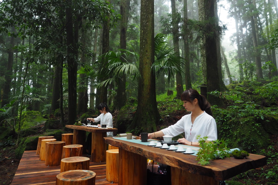 Zwei Frauen sitzen an Holztischen im Wald und bereiten Tee zu, umgeben von dichtem grünen Laub und nebligen Bäumen.